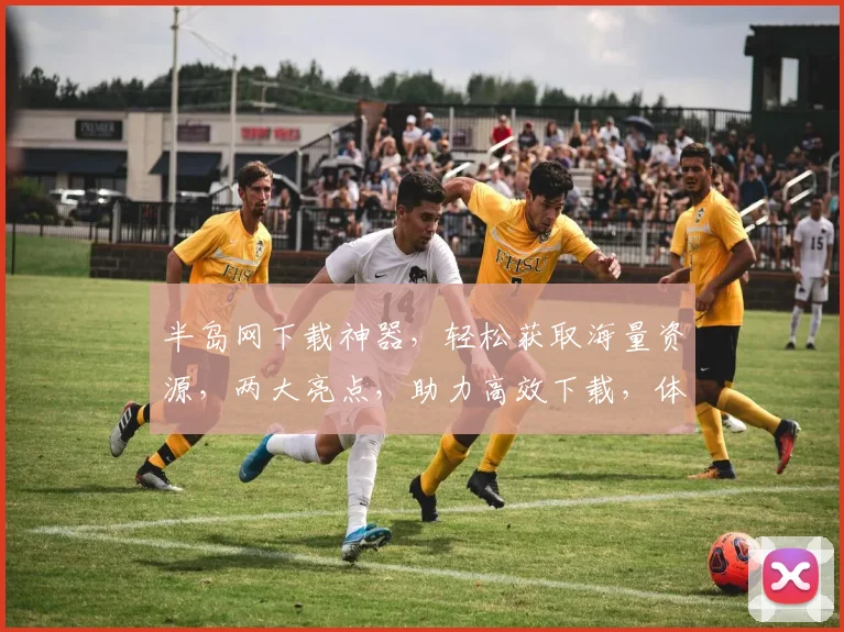 半岛网下载神器，轻松获取海量资源，两大亮点，助力高效下载，体验非凡
