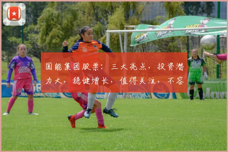 国能集团股票：三大亮点，投资潜力大，稳健增长，值得关注，不容错过